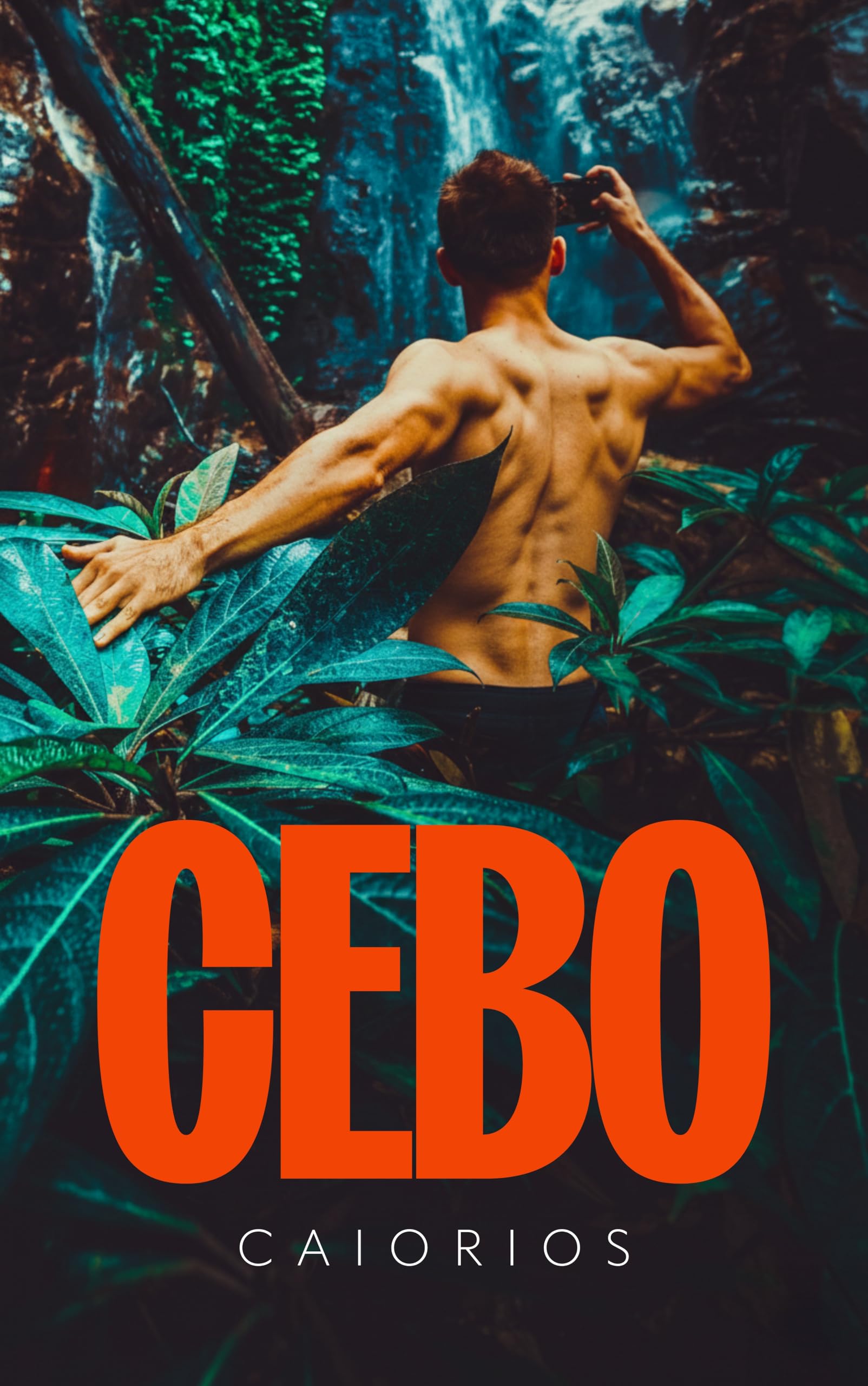 CEBO